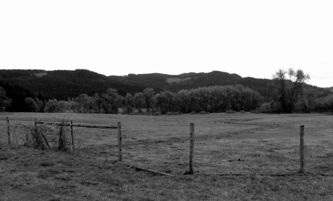 Pasture along Goats Road.