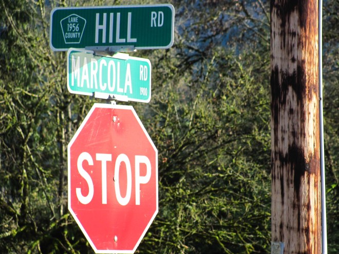 Where Hill Road stops.