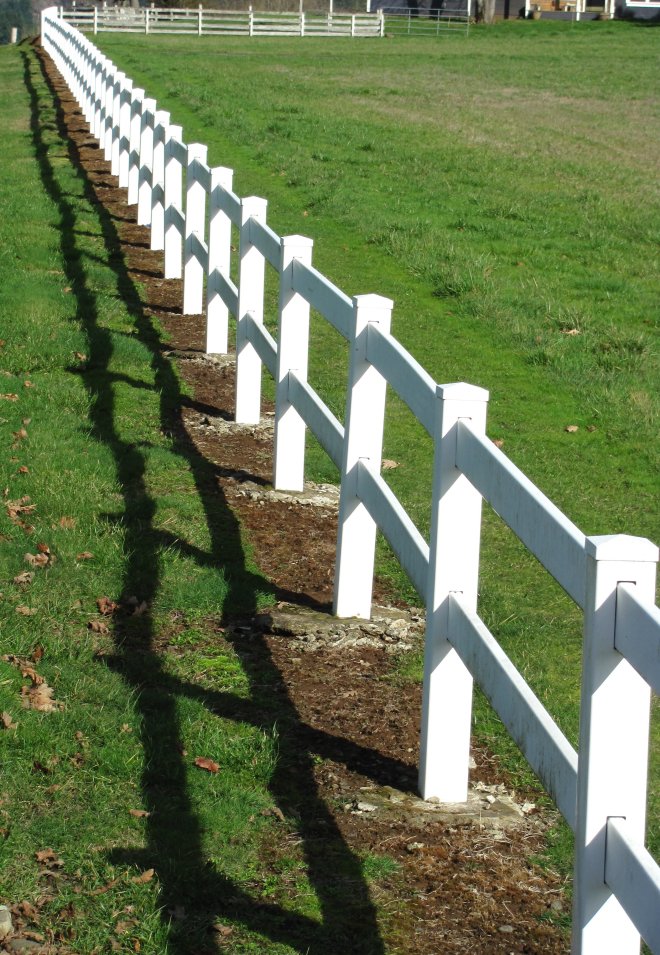 Fenced pasture along Camp Creek, Lane County, Oregon.