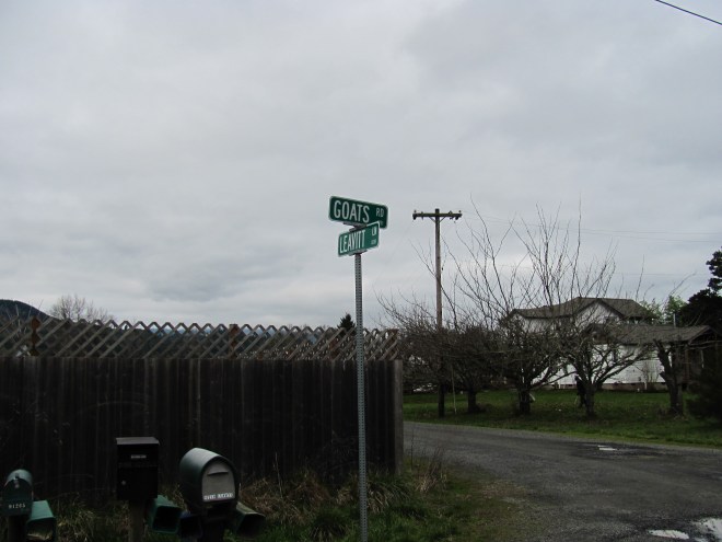 Leavitt Lane sign photo, Springfield, Lane County Oregon