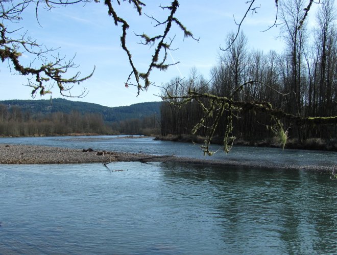 McKenzie River photo, Camp Creek, Lane County Oregon