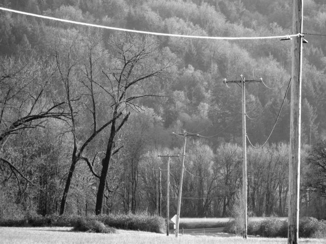 Cool looking utility poles along Old Mohawk Road.