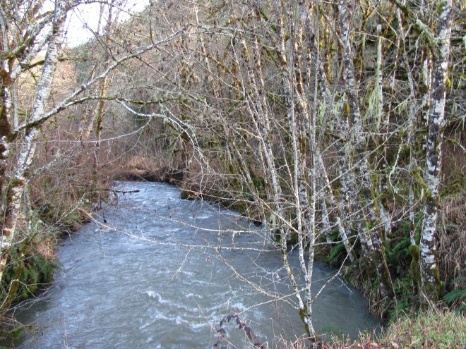 Allison Creek, just past McGowan Creek Road.