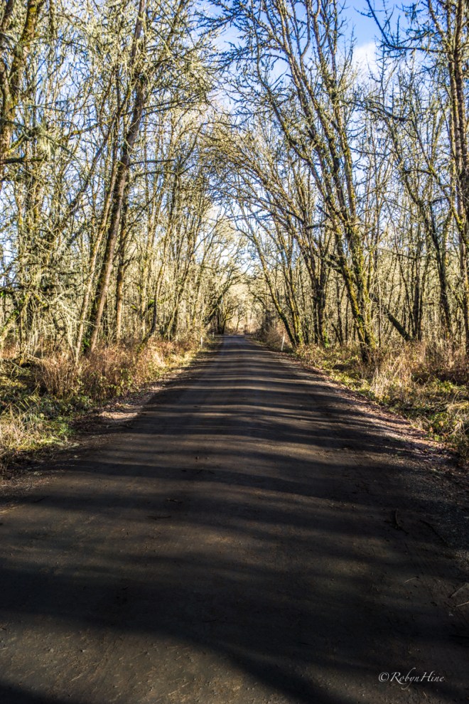 Country roads abound.  (C) Robyn Hine.  Used with permission.