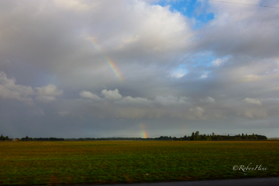 (c) Robyn Hine.  Used with permission.