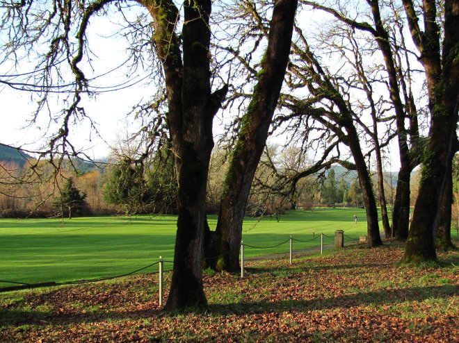 Greens at Springfield Country Club